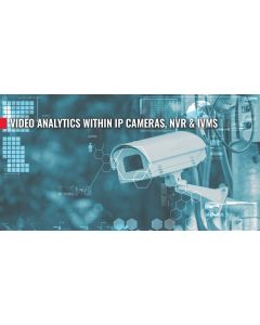 Video Analytics Within IP Cameras, NVR and iVMS